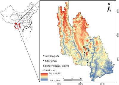 Radial growth response of Pinus Yunnanensis to climate in high mountain forests of northwestern Yunnan, southwestern China